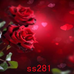 5'x8' SS281